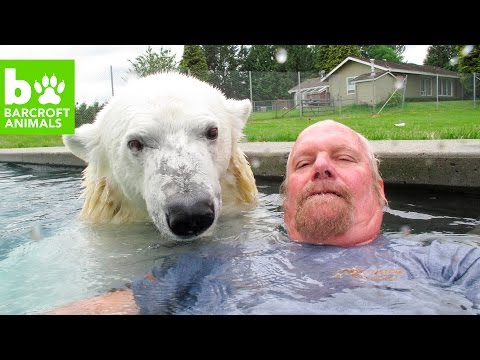 شاهد مجموعة مختلفة لصداقات خارقة ومتوحشة بين البشر والحيوانات