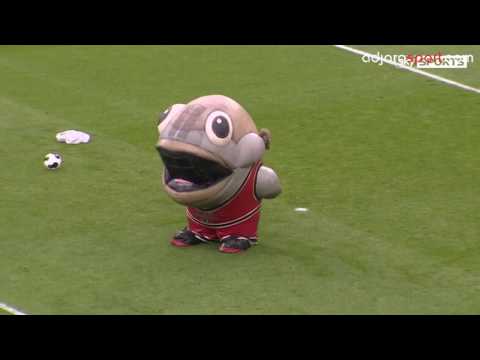 شاهد سمكة ضخمة تلتهم مشجّعًا