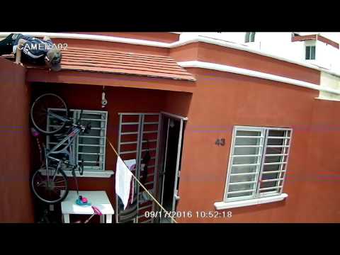 لص دراجات من نوع خاص