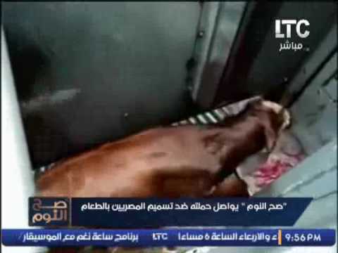 بالفيديو  مصنع ينتج بلوبيف من لحوم الحيوانات المقتولة