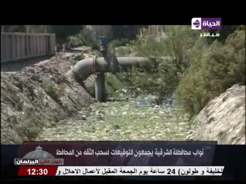 نواب محافظة الشرقية يجمعون التوقيعات لسحب الثقة من المحافظ