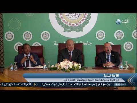 جهود ومساعي عربية أفريقية أممية للتوصل إلى حلول سياسية