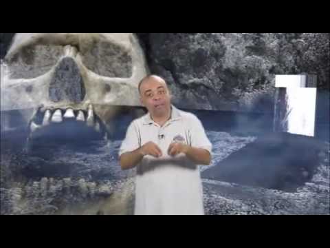 بالفيديو المملكة الهاشمية تطلق فيلمًا توعويًا عن مادة الجوكر المخدرة