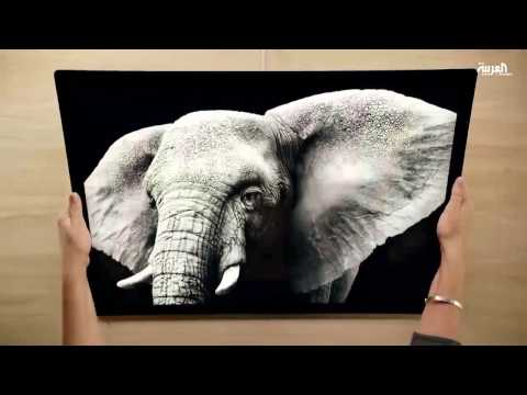 بالفيديو مايكروسوفت تطلق جهازها الجديد all in one المكتبي