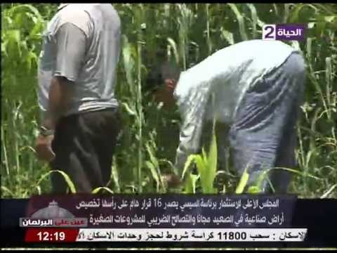 بالفيديو المجلس الأعلى للاستثمار يصدر 16 قرارًا هامًا