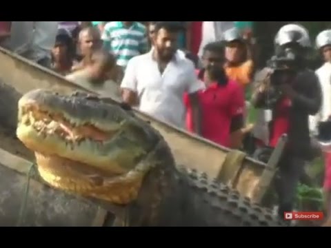 كريستيانو رونالدو أفضل لاعب في إسبانيا بعد إحراز 35 هدفًا