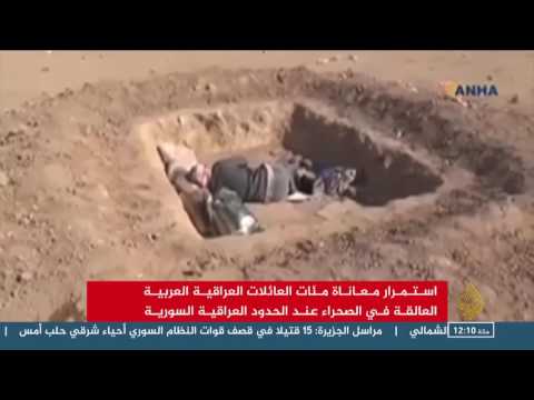 بالفيديو استمرار معاناة العائلات العراقية على الحدود مع سورية