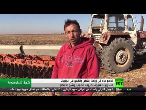 تراجع حاد في الزراعة الاستراتيجية في سورية