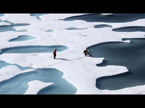 شاهد النظام البيئي للكوكب ضحية للتغيّر المناخي