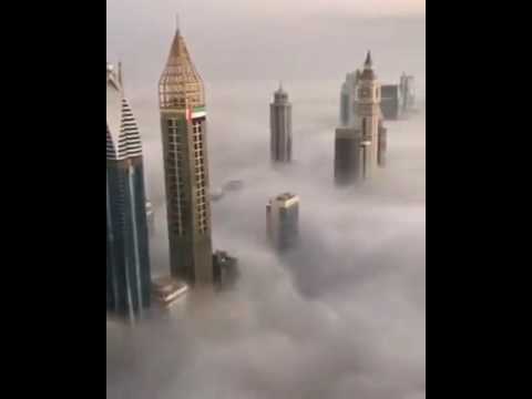 شاهد نجل أمير دبي يتناول القهوة في أعلى ناطحة سحاب في الإمارات