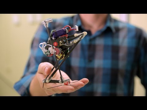 salto روبوت جديد قادر على القفز عبر الجدران