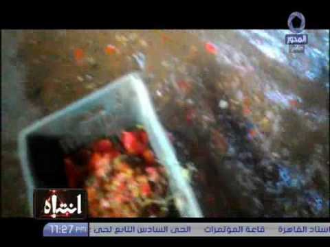 شاهد جودة الطماطم التي تدخل في صناعة الكاتشب