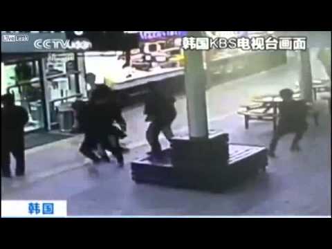 خنزير بري يهاجم مطعم ويصيب رواده بالفزع