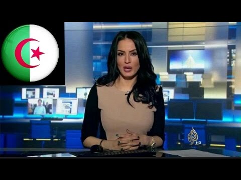 شاهد الجزائريون يرعبون العالم العربي