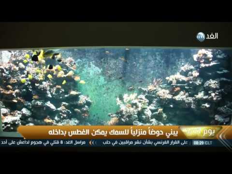 شاهد رجل يبني حوضًا منزليًا للسمك