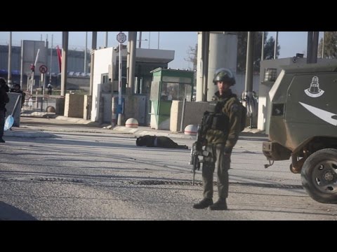 شاهد جرح فلسطينية برصاص القوات الإسرائيلية على حاجز قلنديا