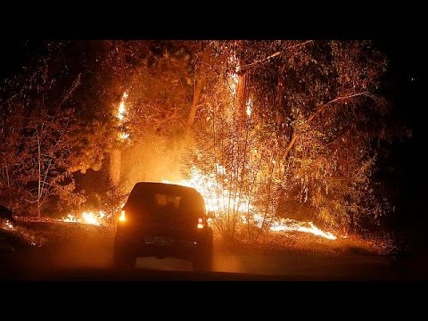 شاهد حرائق هائلة في التشيلي ماذا نتج عنها