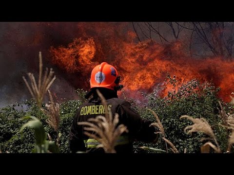 شاهد تدمير 300 ألف هكتار من الغابات في حرائق الشيلي