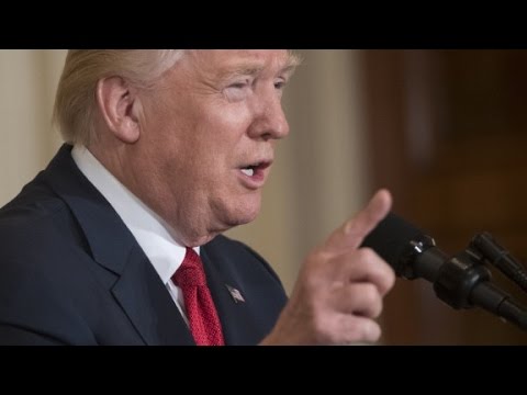 trump biographers insights