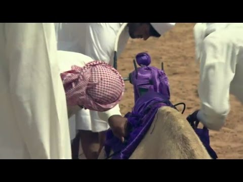 camel racing with robotic jockeys in dubai
