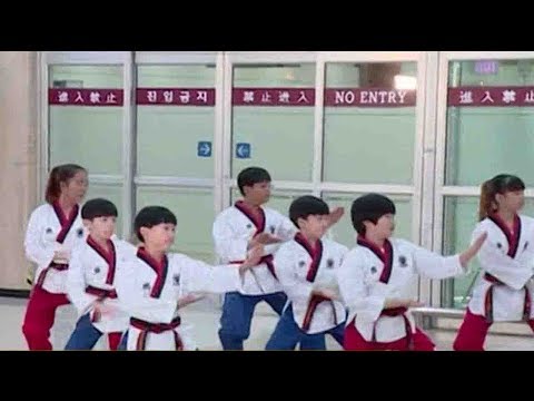 dprk taekwondo delegation