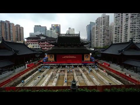 shanghai temple pulls off feat in shifting
