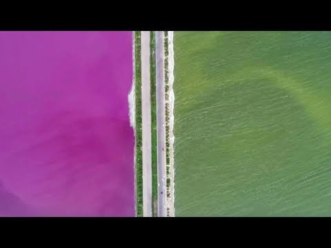 chinas green and pink colored lake wows