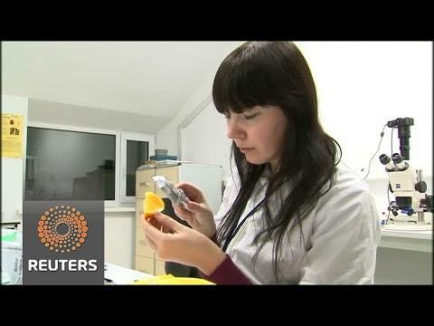 russia cracks down
