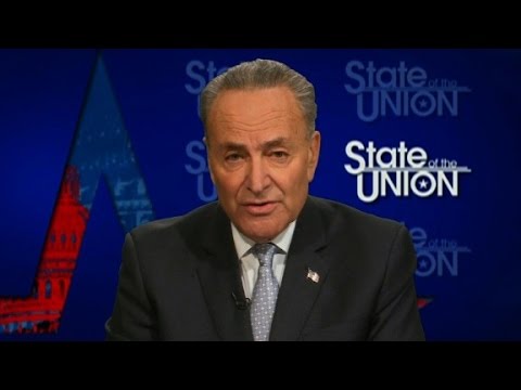 schumer interference needs