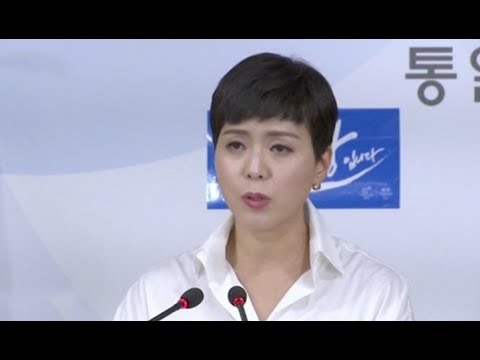 south korea may offer dprk