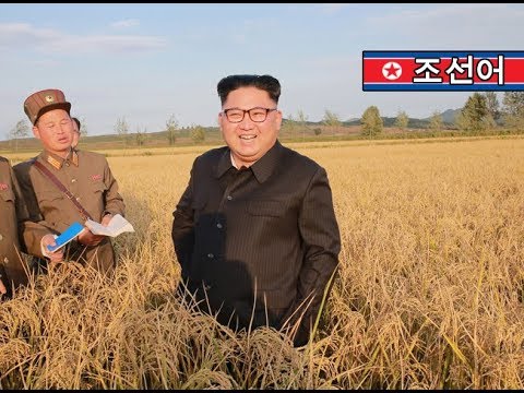 kim jong un visits farm no1116 run by kpa