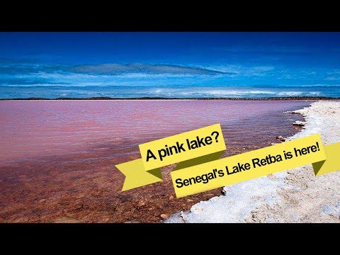 a pink lake senegal’s lake retba is here