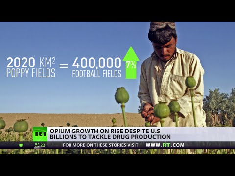 400000 football fields worth of opium in afghanistan