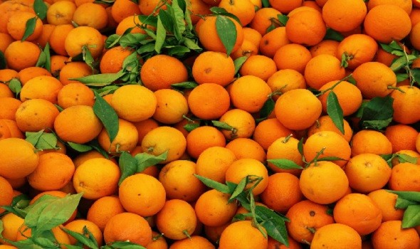صوت الإمارات -